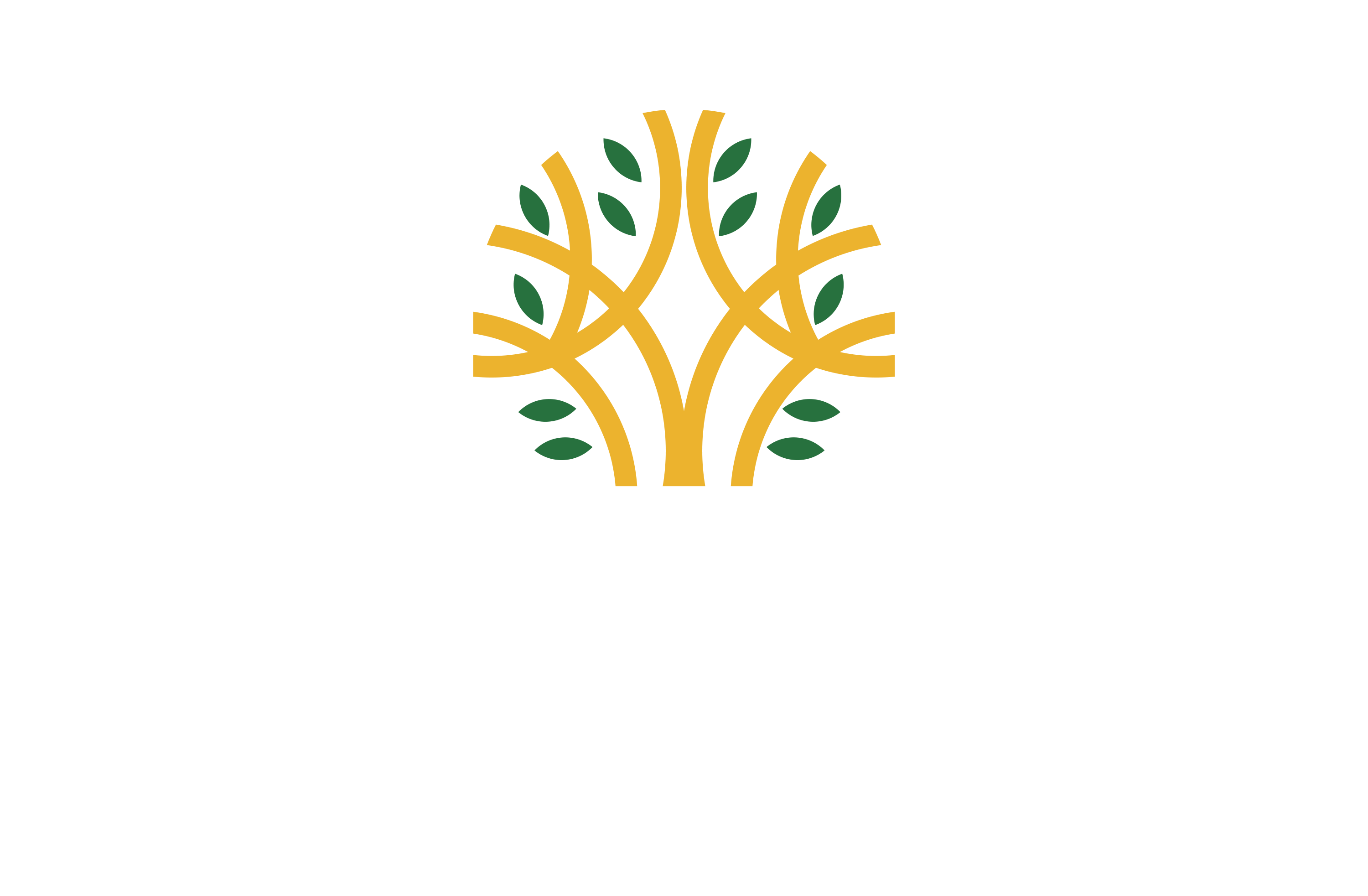 Eden Gold Tree Limited Logo